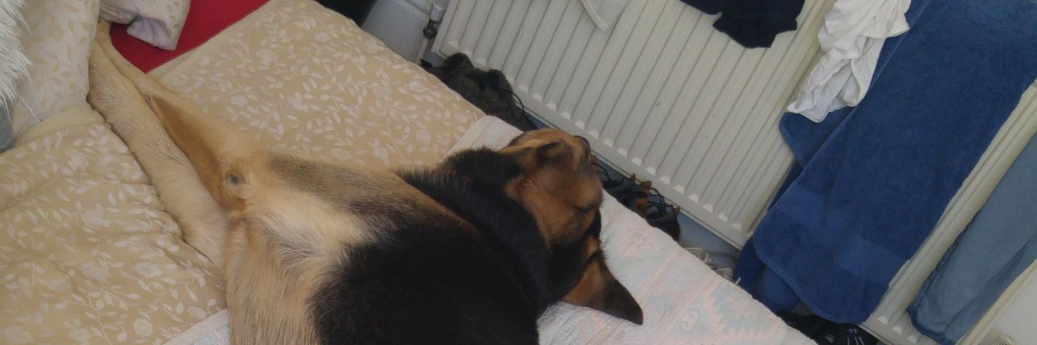 byronieee's profile banner image
