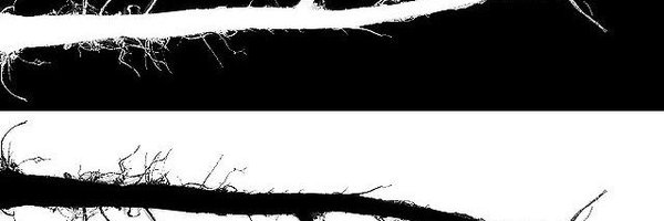 workshop4afu Profile Banner