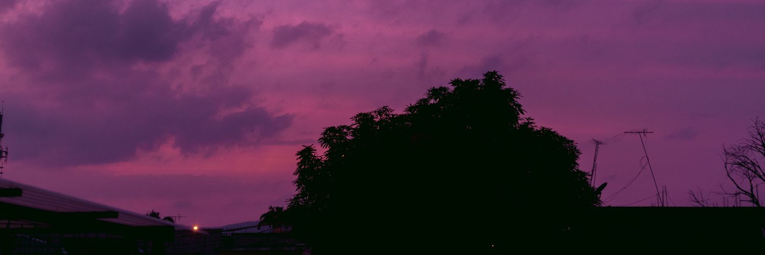 jotaruizz's profile banner image