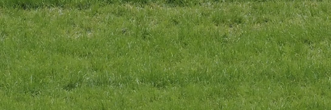 魚目🤒5/6 西1カ26b banner