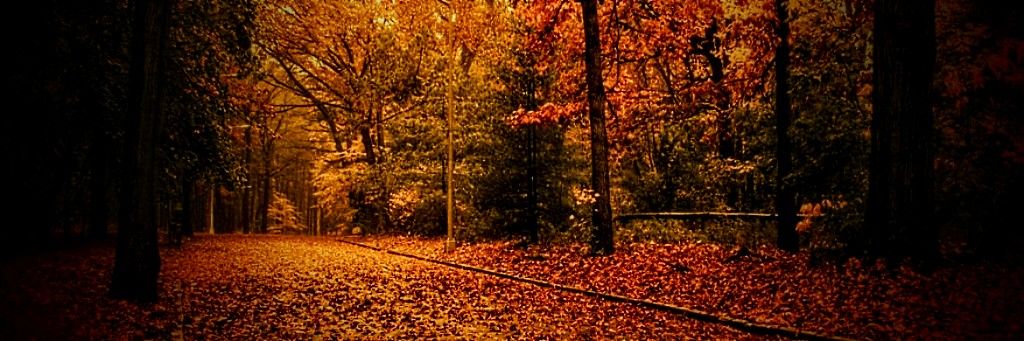 autxmnwinds's profile banner image