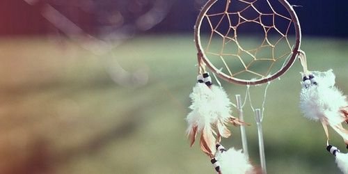 BrunaRDuarte1's profile banner image
