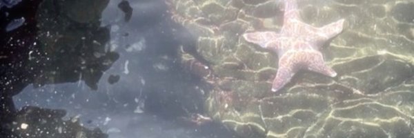 emiliarobertsii Profile Banner