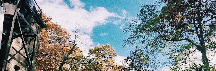 tessannrich's profile banner image