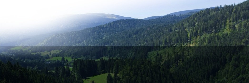 FORCORP's profile banner image