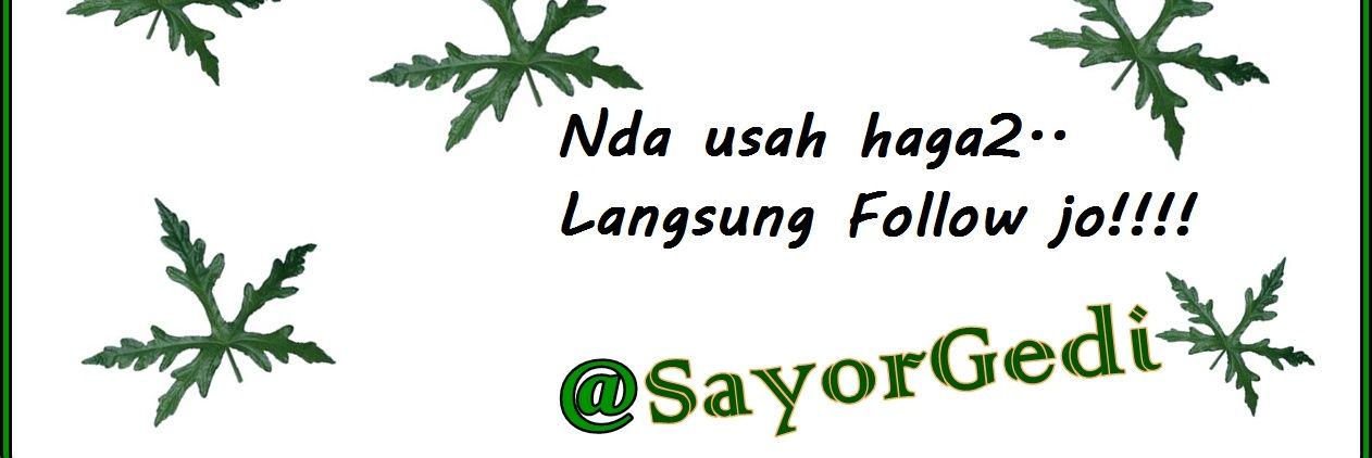 SayorGedi's profile banner image