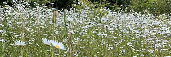 LeisaF09 Profile Banner