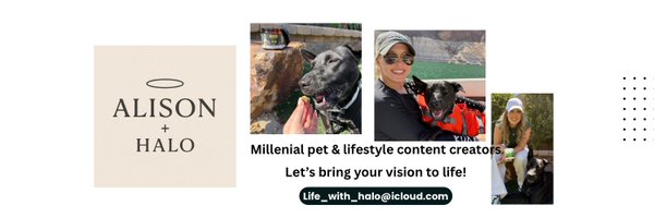 Alison_and_Halo Profile Banner