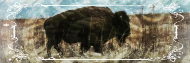 NICOLASSRDR2's profile banner image