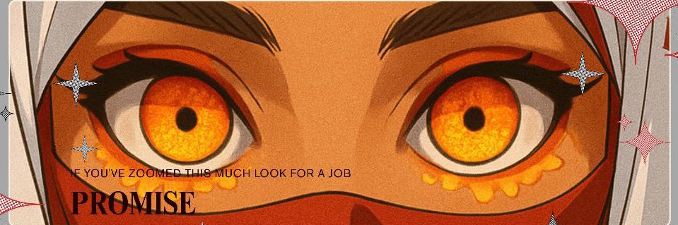 promise's banner