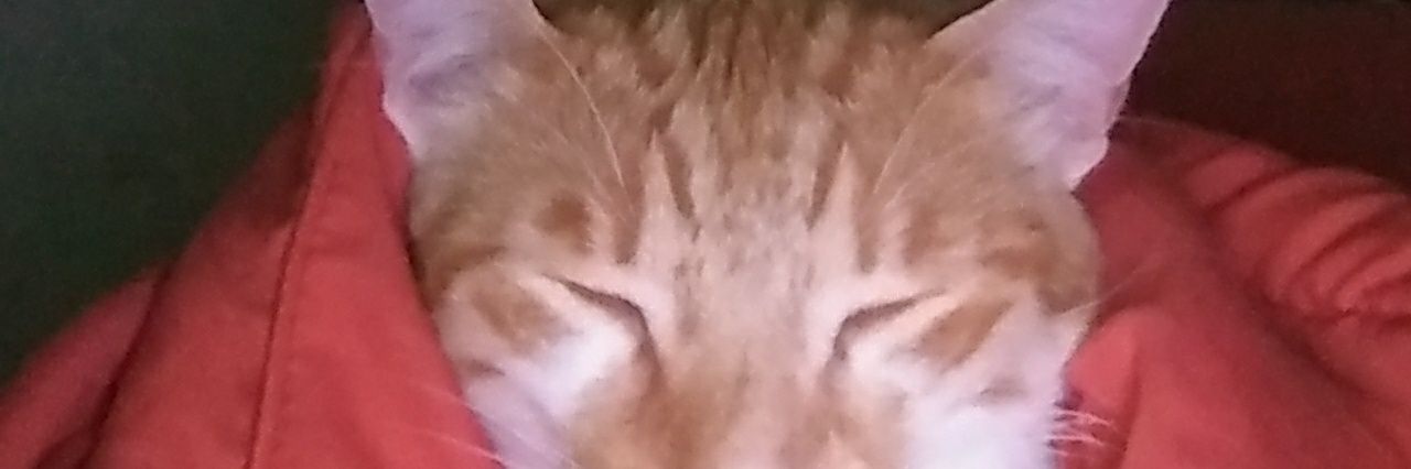 El__Tono's profile banner image