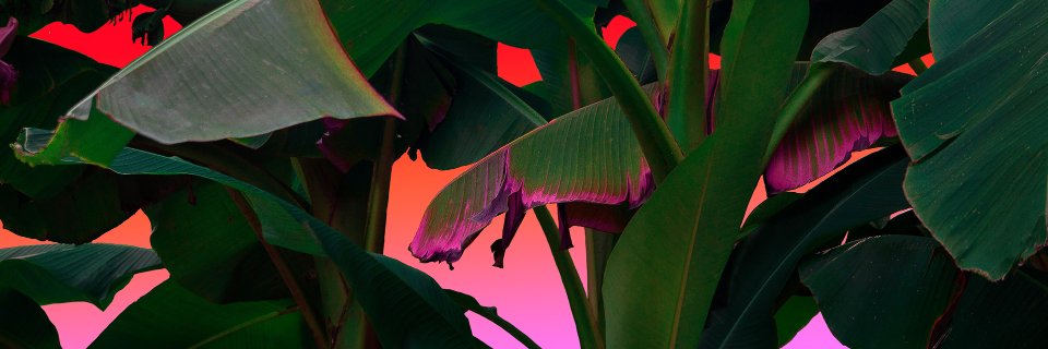 afterthesea's profile banner image