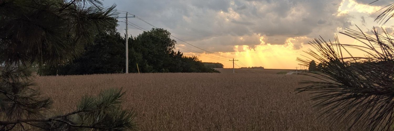 JenWitteHansen's profile banner image