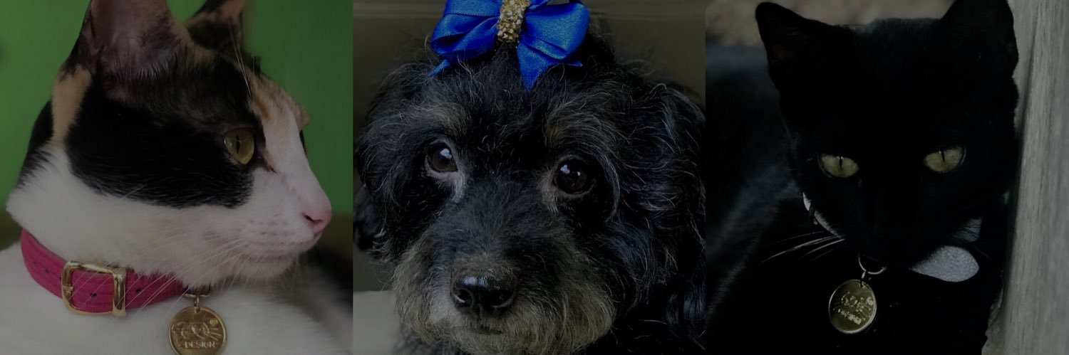 Shadarypadilla's profile banner image