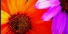 Risque_nic's profile banner image