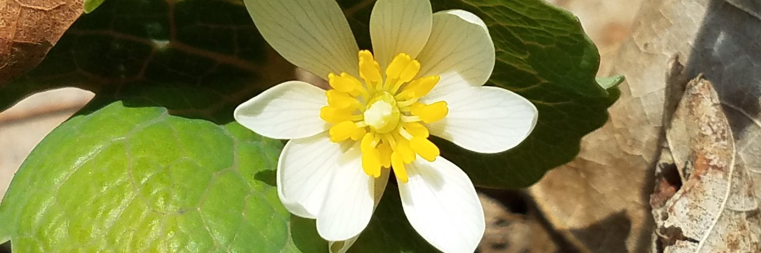 usfs_nrs's profile banner image