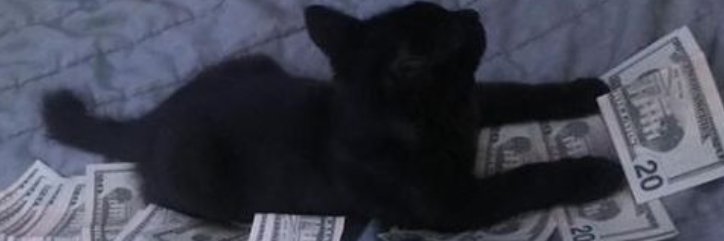 _totch_'s profile banner image