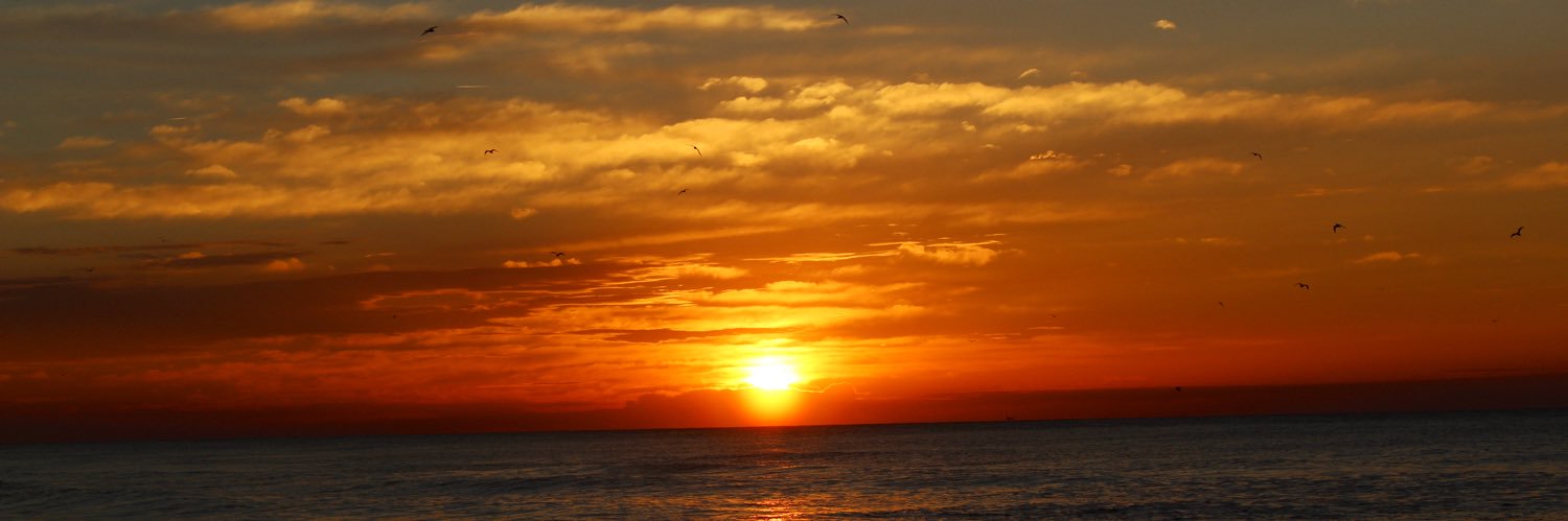 theindigoscribe's profile banner image