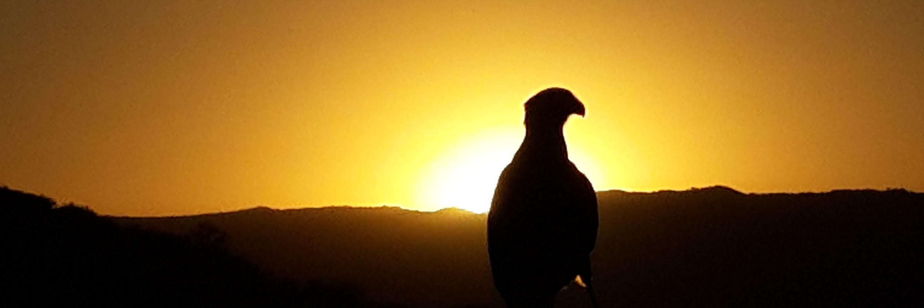 Pablojogabriel's profile banner image