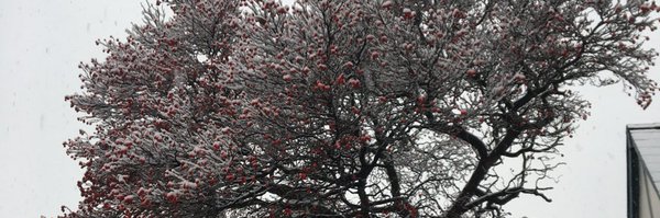 PhilippaBudgen Profile Banner