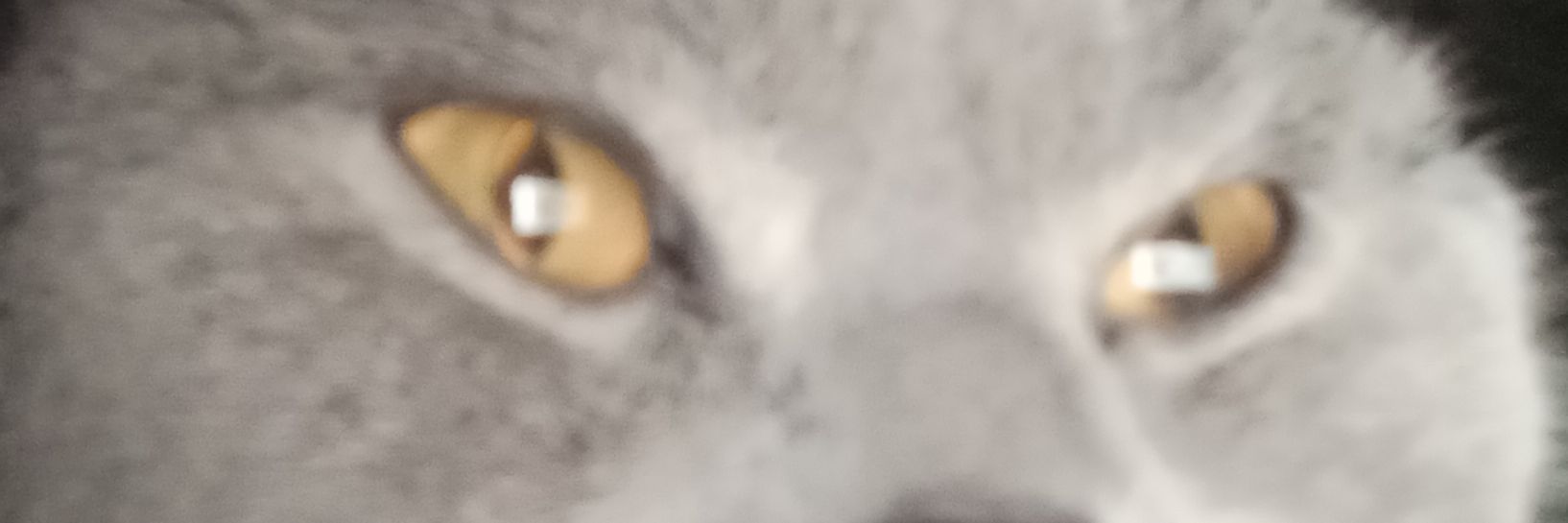Noreach banner