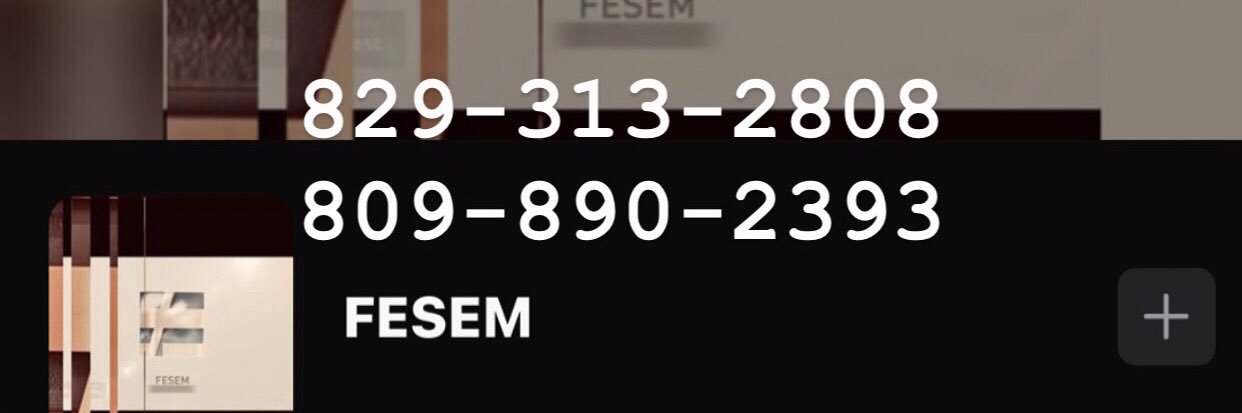 FESEMINVERSION's profile banner image