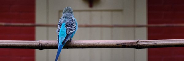 TheLortex Profile Banner