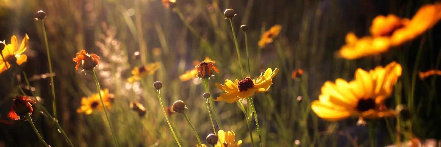 USDA Forest Service R&D banner
