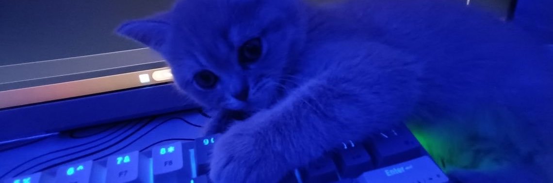 gooncelboy's profile banner image