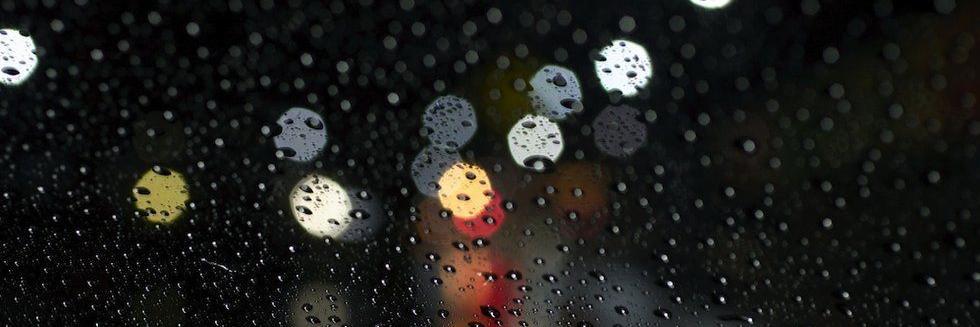 Sally Daultrey banner