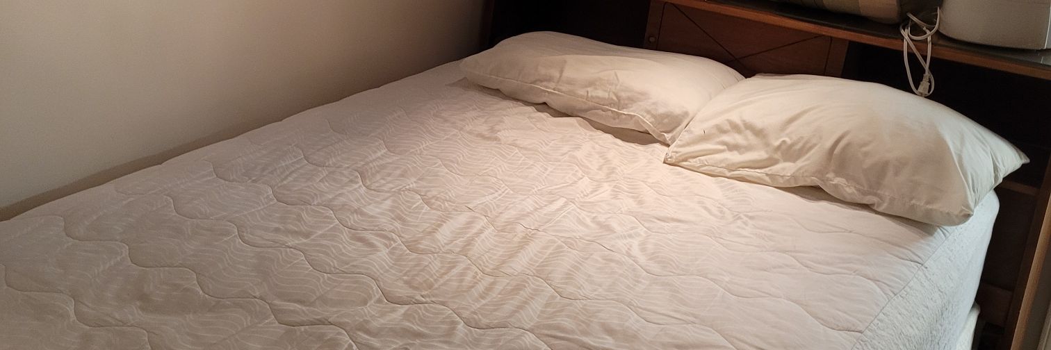 alienxl 😈 📍 ALBANY NY banner