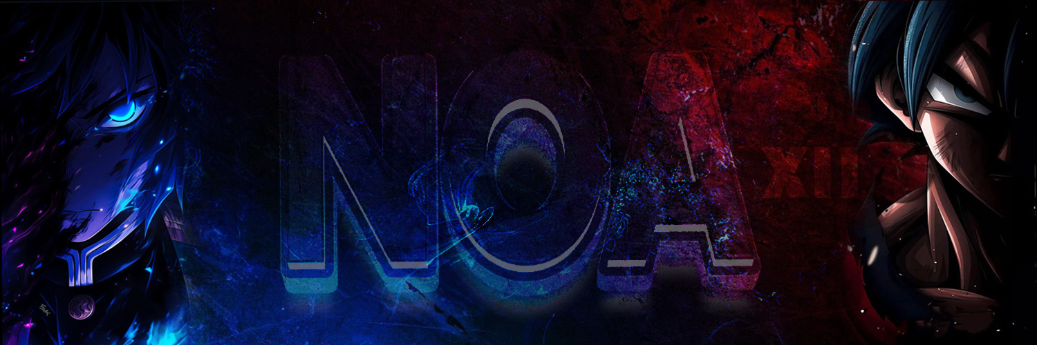 Noa banner