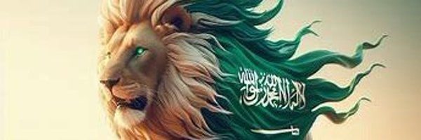 fid3010 Profile Banner