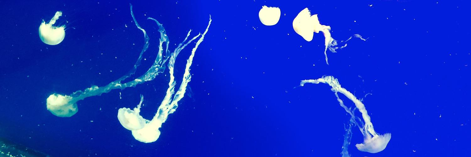 RealBottom's profile banner image