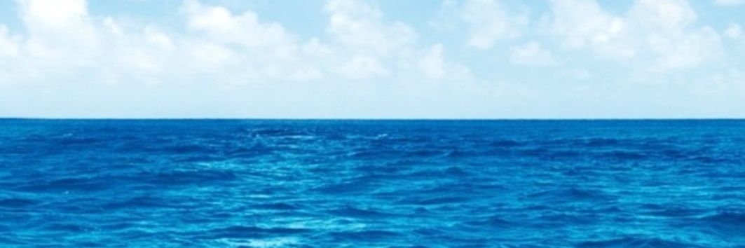 all_starboard's profile banner image