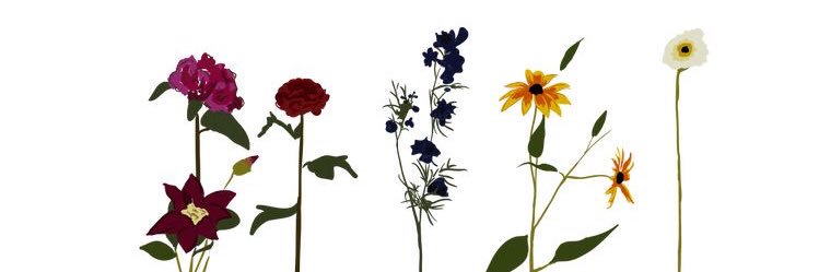 capeurbeudd's profile banner image