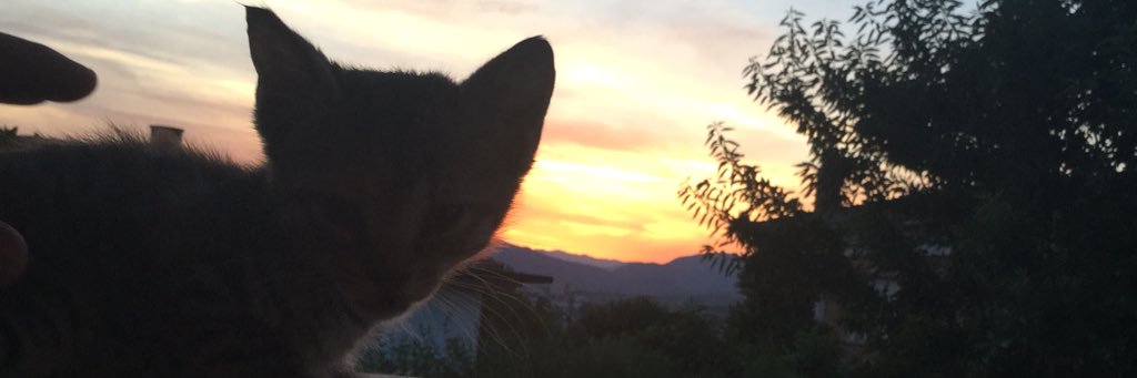 davidberneda's profile banner image