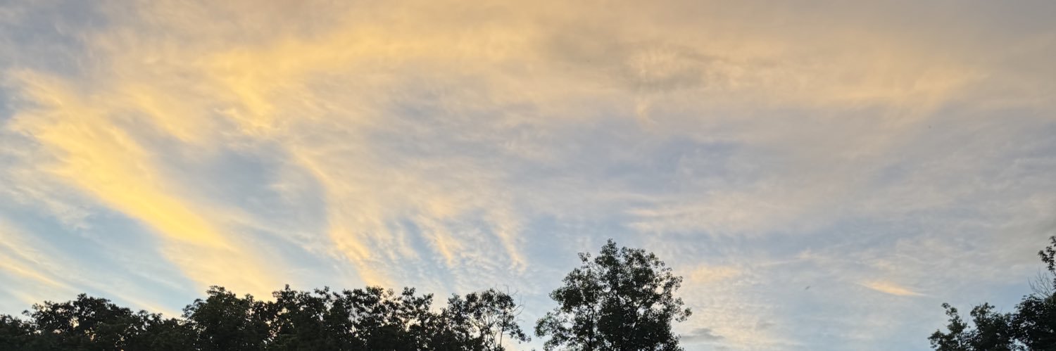 TylerEtue's profile banner image