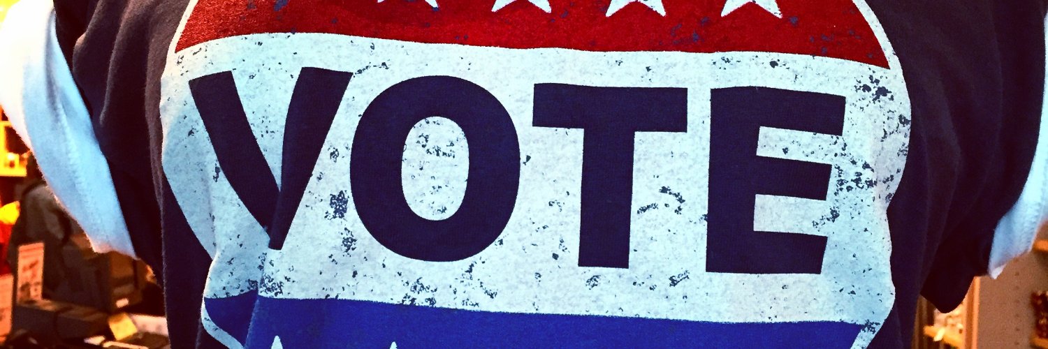 NYDN Politics banner