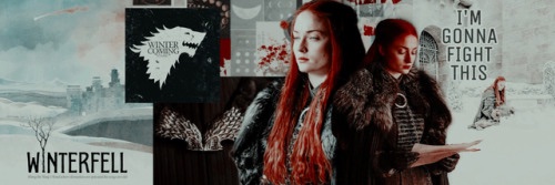 𝑺 𝑨 𝑵 𝑺 𝑨's banner