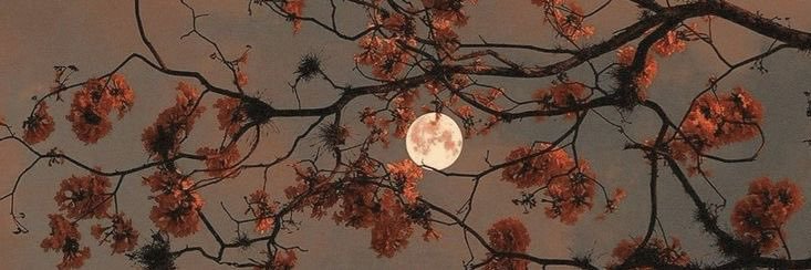 Mila - SPN S10 banner