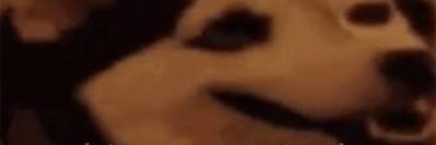 WhatSnowend's profile banner image