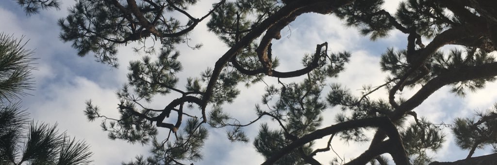 ocmarcom's profile banner image