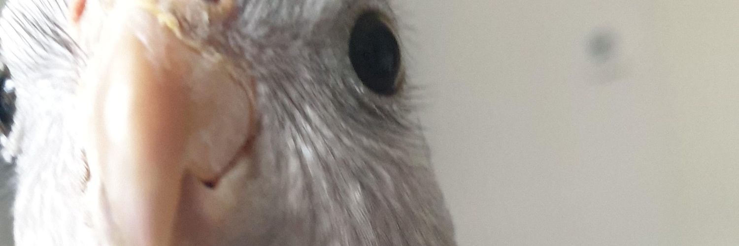 Yoehn_'s profile banner image