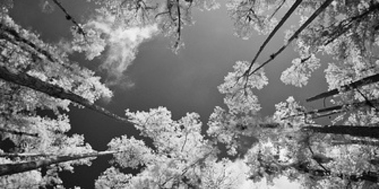 brichmilar's profile banner image