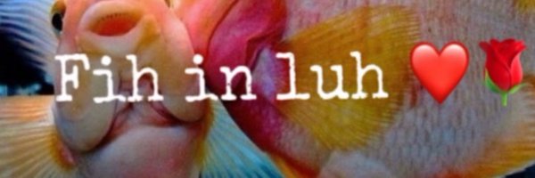 motormouuuuthh Profile Banner