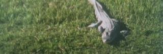 KatMichaels5's profile banner image