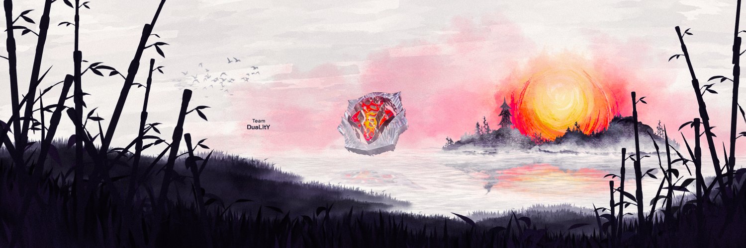 TeamDuaLitY banner