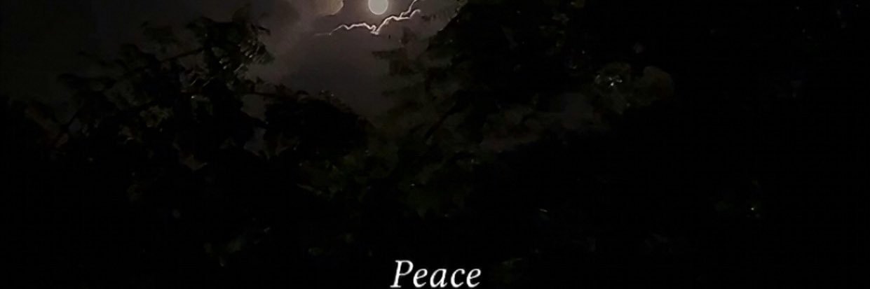SHILmiran banner