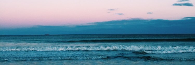 ingkinevich2's profile banner image